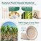 300-piece compostable paper plates set, featuring 10-inch eco-friendly plates made from sugarcane pulp. This heavy-duty disposable set includes utensils and napkins, perfect for parties, events, and gatherings, providing a sustainable solution for yo